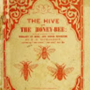 Meet your Posher, Patience